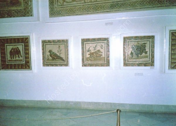 Roman Mosaic, Carthage